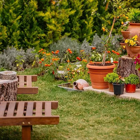 Bed and Breakfast Bellapietra 3*