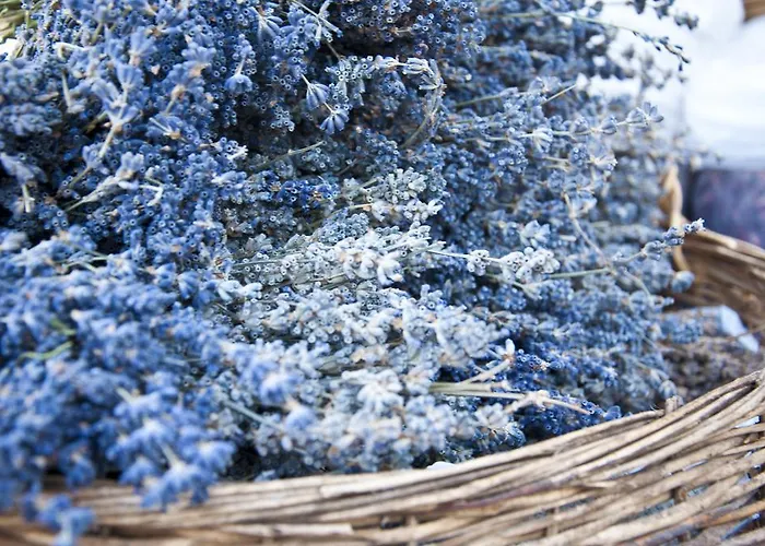 Bellapietra 3* Alacati