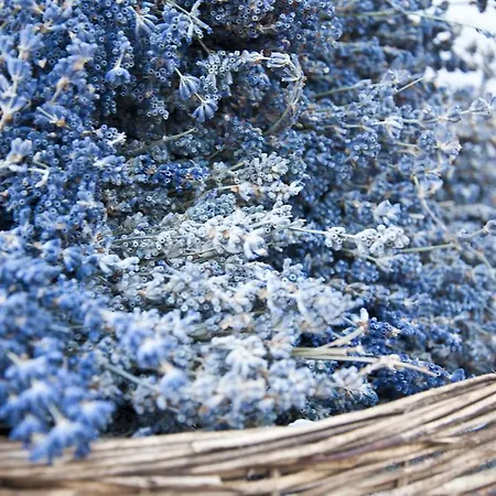 Bellapietra 3* 알라카티