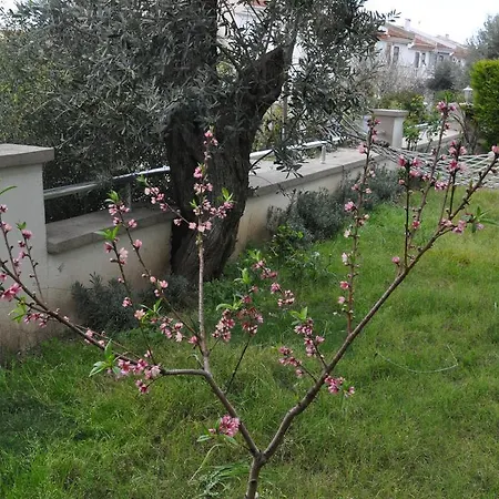 Bed & Breakfast Bellapietra Alacati