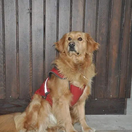 Bed & Breakfast Bellapietra